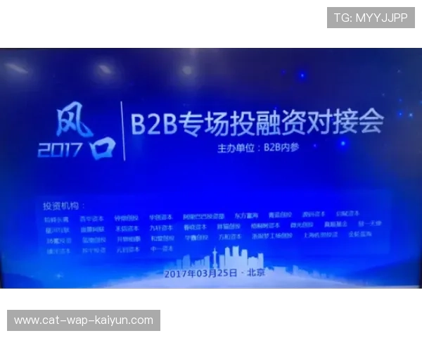 琑队如何优化对外合作与品牌联动，加强对接合作